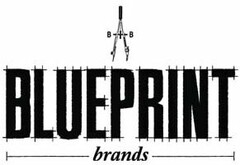 BLUEPRINT BRANDS