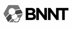 BNNT