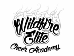 WILDFIRE ELITE CHEER ACADEMY