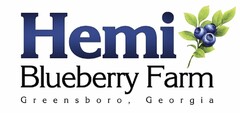 HEMI BLUEBERRY FARM GREENSBORO, GEORGIA