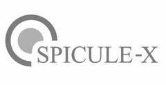 SPICULE-X