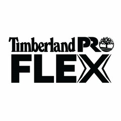 TIMBERLAND PRO FLEX