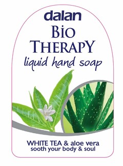 DALAN BIO THERAPY LIQUID HAND SOAP WHITE TEA & ALOE VERA SOOTH YOUR BODY & SOUL