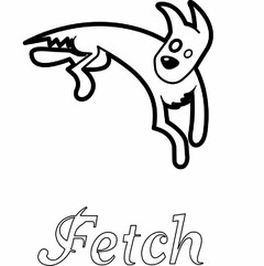 FETCH