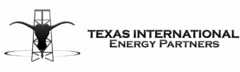 TEXAS INTERNATIONAL ENERGY PARTNERS