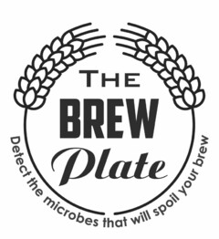 THE BREW PLATE DETECT THE MICROBES THAT WILL SPOIL YOUR BREW