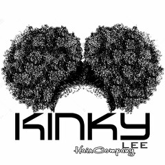 KINKY LEE HAIR COMPANY