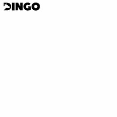 DINGO