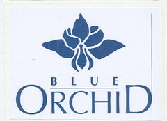 BLUE ORCHID