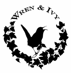 WREN & IVY