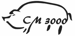 CM 3000