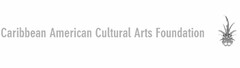 CARIBBEAN AMERICAN CULTURAL ARTS FOUNDATION