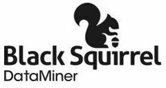 BLACK SQUIRREL DATAMINER