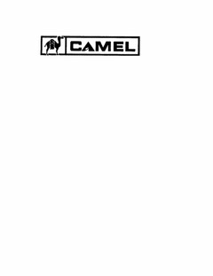 CAMEL CUSTOM CANVAS SHOP