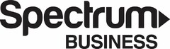 SPECTRUM BUSINESS