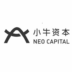 NEO CAPITAL