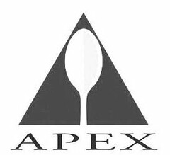 APEX