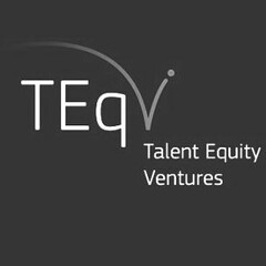 TALENT EQUITY VENTURES TEQ V