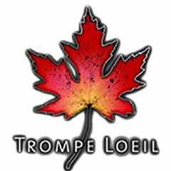 TROMPE LOEIL