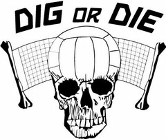 DIG OR DIE