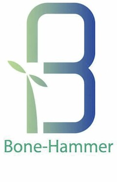 BH BONE-HAMMER