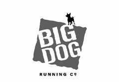 BIG DOG RUNNING CO.