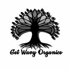 GET WAVY ORGANICS