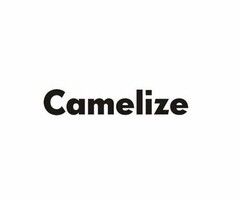 CAMELIZE