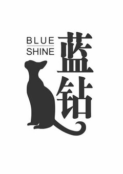 BLUE SHINE