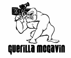 GUERILLA MCGAVIN