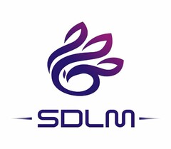 SDLM