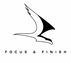 FOCUS & FINISH