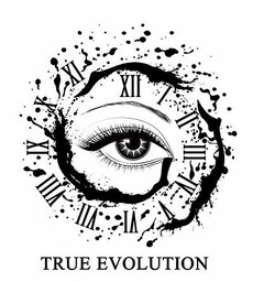 TRUE EVOLUTION I II III IV V VI VII VIII IX X XI XII