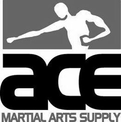 ACE MARTIAL ARTS SUPPLY