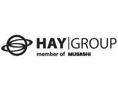 HAY GROUP MEMBER OF MUSASHI