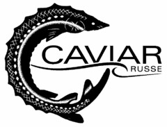 CAVIAR RUSSE