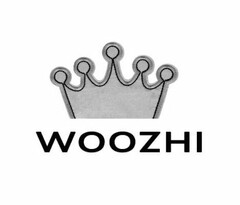 WOOZHI