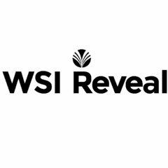 WSI REVEAL