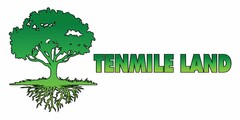 TENMILE LAND