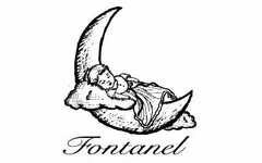 FONTANEL