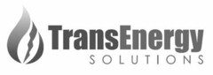 TRANSENERGY SOLUTIONS