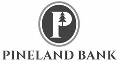 P PINELAND BANK