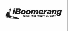 IBOOMERANG TOOLS THAT RETURN A PROFIT