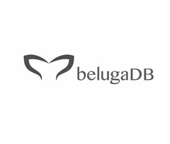 BELUGADB