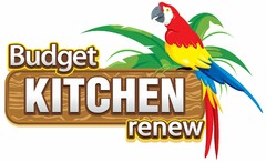 BUDGET KITCHEN RENEW