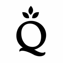 Q