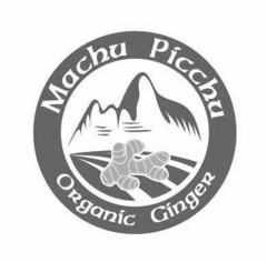 MACHU PICCHU ORGANIC GINGER