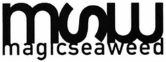 MSW MAGICSEAWEED