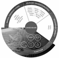 CHEDDAR BROAD TYPES PRIMARY CHARACTERISTICS SECONDARY IMPACT FUNCTION MILD MEDIUM SHARP EXTRA MATURE MEATY CREAMY SAVORY BITTER FRUITY YEASTY SOUR NUTTY SWEET BUTTERY SALTY TANGY FATTY WAXY MASKING BUILDER MOUTHFEEL REPLACER HEAT TOLERANT