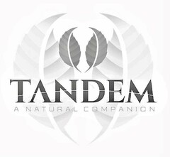 TANDEM A NATURAL COMPANION